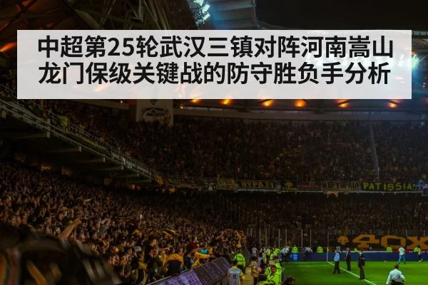 football stadium night crowd