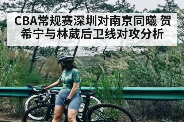 CBA常规赛深圳对南京同曦 贺希宁与林葳后卫线对攻分析
